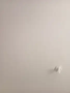 Snapshot of Morguisssz chatting on 09-18-25, 01:02 Morguisssz online show from 09-18-25, 01:02