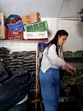 nidia2026 online show from 02-03-25, 06:17