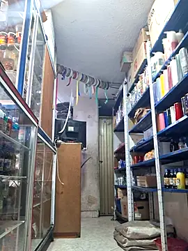 nidia2026 online show from 03-04-25, 05:24