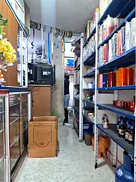 nidia2026 online show from 03-17-26, 01:25