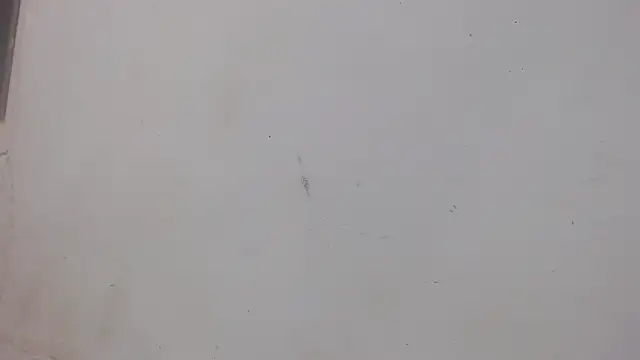 Snapshot of danilo302209 chatting on 02-01-25, 01:02 danilo302209 online show from 02-01-25, 01:02