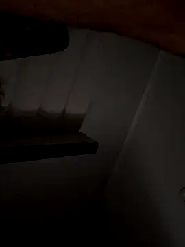 Snapshot of 69woodinson chatting on 11-13-25, 11:53 69woodinson online show from 11-13-25, 11:53