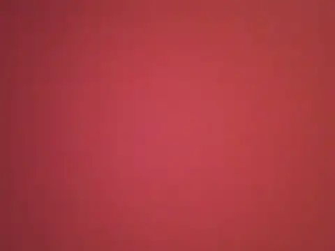  revianzip1 online show from 12-25-24, 08:07