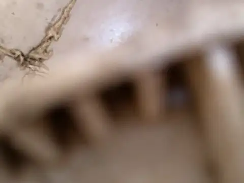 Snapshot of small131 chatting on 03-17-25, 06:29 small131 online show from 03-17-25, 06:29