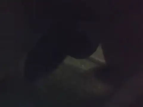 Penis58 online show from 12-22-24, 12:16