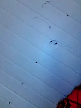 frotasso online show from 12-12-24, 04:15