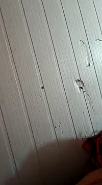 frotasso online show from 01-01-25, 10:32