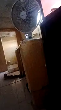 frotasso online show from 03-04-25, 02:42