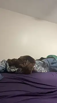 daddymaniaco69 online show from 12-28-24, 04:52