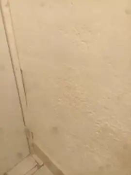 FlacoRiaton online show from 02-10-26, 08:07