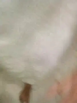 Bombi22 online show from 12-30-24, 08:15