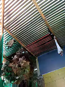 thamygomezz online show from 09-09-25, 04:39