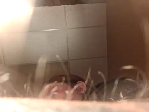 chrissybear84 online show from 06-26-26, 12:42