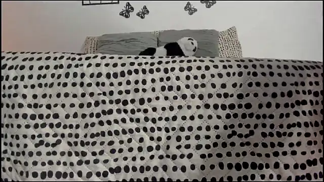 Keiny-Rave online show from 03-18-25, 01:32