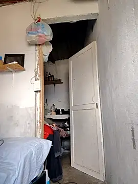 gatoalex89 online show from 01-09-26, 05:37