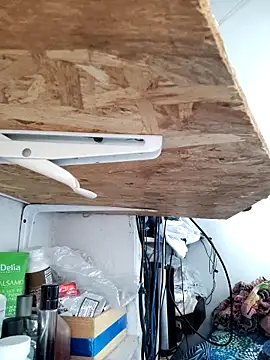 gatoalex89 online show from 04-08-26, 10:21