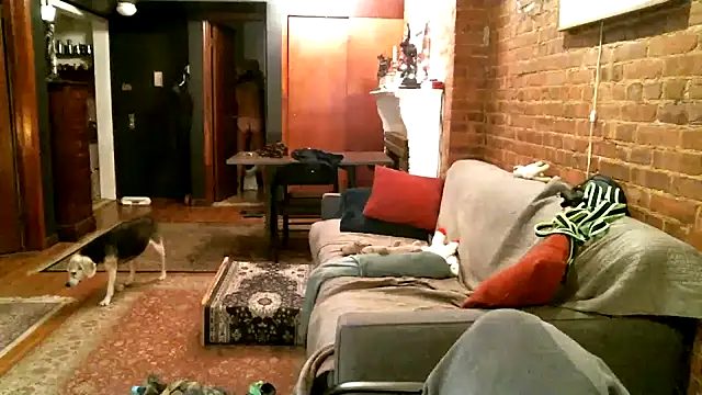 Snapshot of Johnny_Bottoms chatting on 12-21-24, 01:04 Johnny Bottoms online show from 12-21-24, 01:04