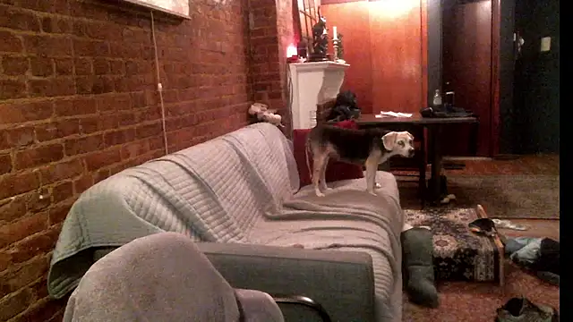 Snapshot of Johnny_Bottoms chatting on 09-24-25, 11:19 Johnny Bottoms online show from 09-24-25, 11:19