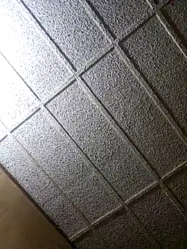 zaneporter46 online show from 02-08-25, 12:49