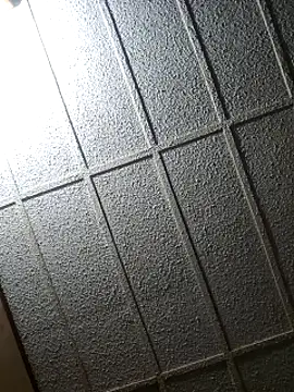 zaneporter46 online show from 02-08-25, 04:04