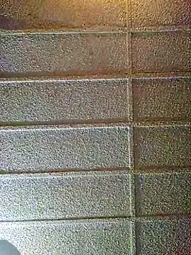 zaneporter46 online show from 02-10-25, 09:25