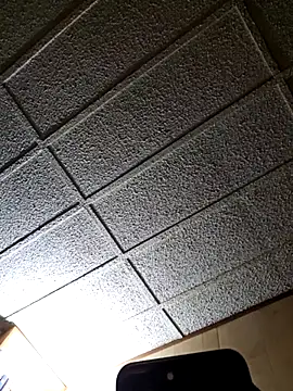 zaneporter46 online show from 02-25-25, 03:42