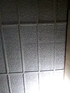 zaneporter46 online show from 03-01-25, 09:07