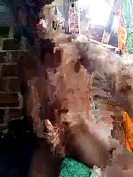 Snapshot of Andres123cv chatting on 04-15-26, 04:25 Andres123cv online show from 04-15-26, 04:25