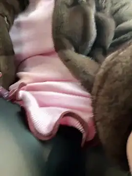 AndreaMood online show from 02-01-25, 06:43