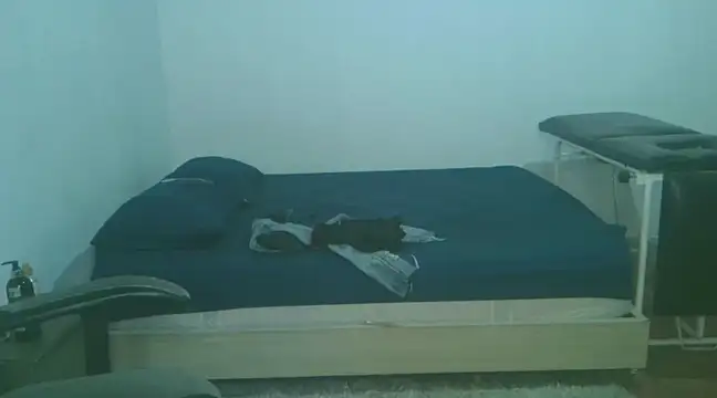 Snapshot of David_Adams2003 chatting on 02-02-25, 04:54 David Adams2003 online show from 02-02-25, 04:54