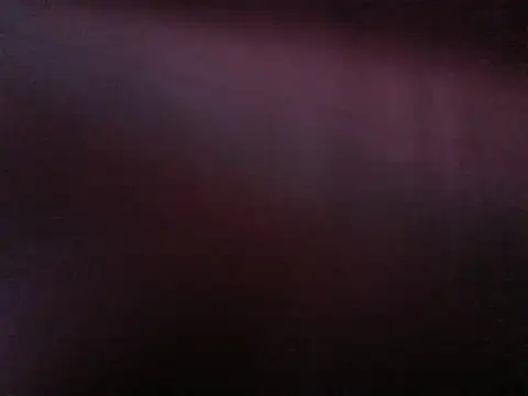 FancySnake online show from 08-06-26, 09:49