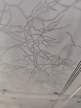 dreamers dick online show from 01-02-25, 04:13