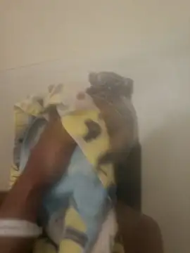 Snapshot of Looking4Jerries chatting on 12-31-24, 06:48 Looking4Jerries online show from 12-31-24, 06:48