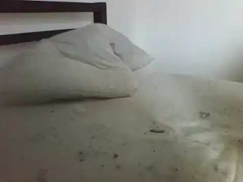 horndude187187 online show from 01-01-25, 11:05