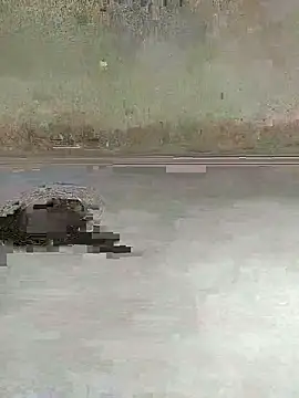 teluguu-rajj online show from 10-27-25, 02:37