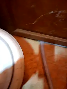 Snapshot of javierpasteur69 chatting on 10-30-25, 05:31 javierpasteur69 online show from 10-30-25, 05:31