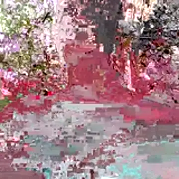 Kaizer1 online show from 10-26-25, 04:51