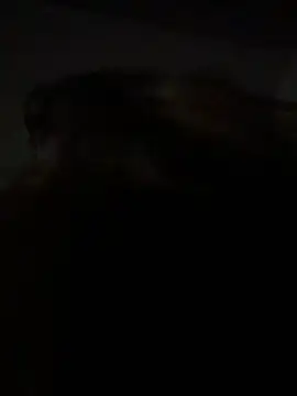 Snapshot of Kitty_DaCocks chatting on 01-07-26, 12:13 Kitty DaCocks online show from 01-07-26, 12:13