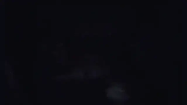 ParaFox online show from 09-14-25, 08:30