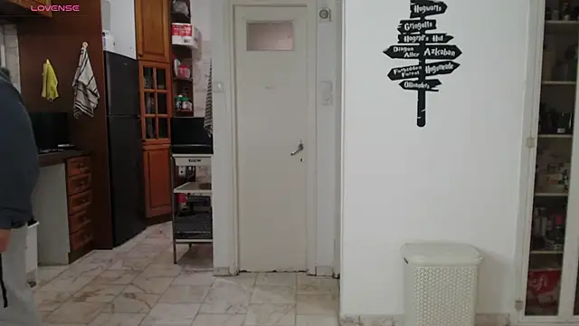 Snapshot of todddantes25 chatting on 03-08-25, 02:30 todddantes25 online show from 03-08-25, 02:30