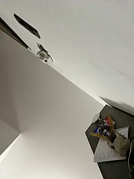 ilmaestoso online show from 02-21-25, 07:23