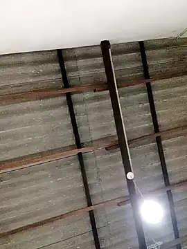 Queen princes online show from 02-23-25, 05:01