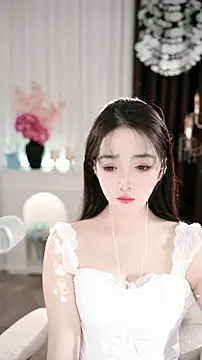 Snapshot of WenBao-Bao chatting on 11-30-25, 06:17 WenBao-Bao online show from 11-30-25, 06:17