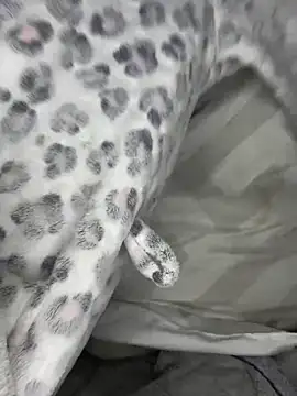 VioletxBlue online show from 03-28-26, 11:32