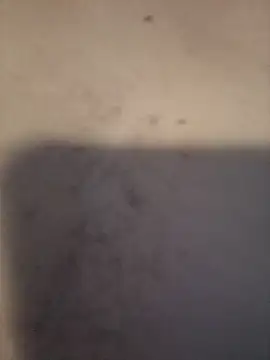 dany hardy online show from 03-24-26, 08:36