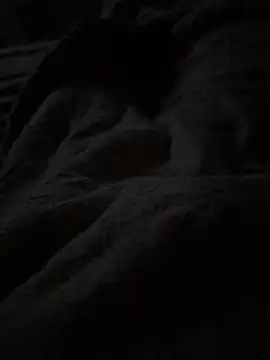 Lilymoonshow online show from 04-07-26, 03:29