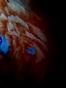 Snapshot of rameshjisex chatting on 11-12-25, 01:17 rameshjisex online show from 11-12-25, 01:17