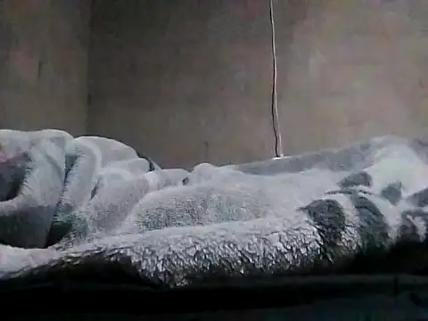 Snapshot of LaneYam chatting on 03-24-26, 08:03 LaneYam online show from 03-24-26, 08:03