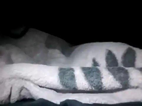 Snapshot of LaneYam chatting on 03-28-26, 12:32 LaneYam online show from 03-28-26, 12:32