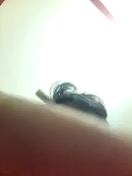 Marvelous Piyush online show from 03-06-25, 08:19